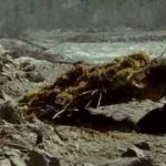 【アラスカ州】大自然に一人の青年が本当の自由を求める旅に出る